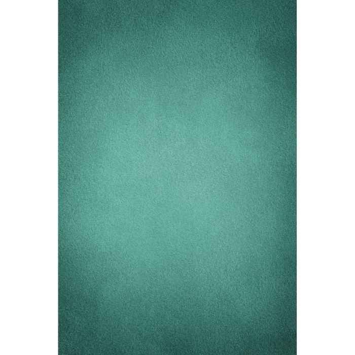 296298