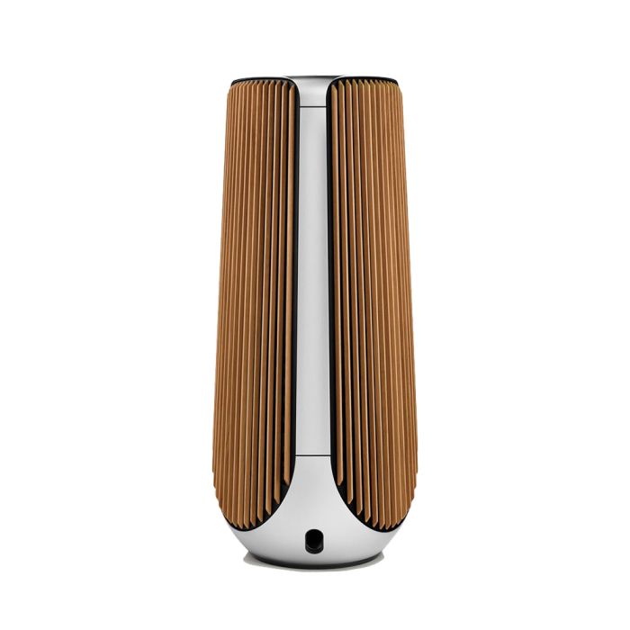 Bang&Olufsen Beolab 50 Silver