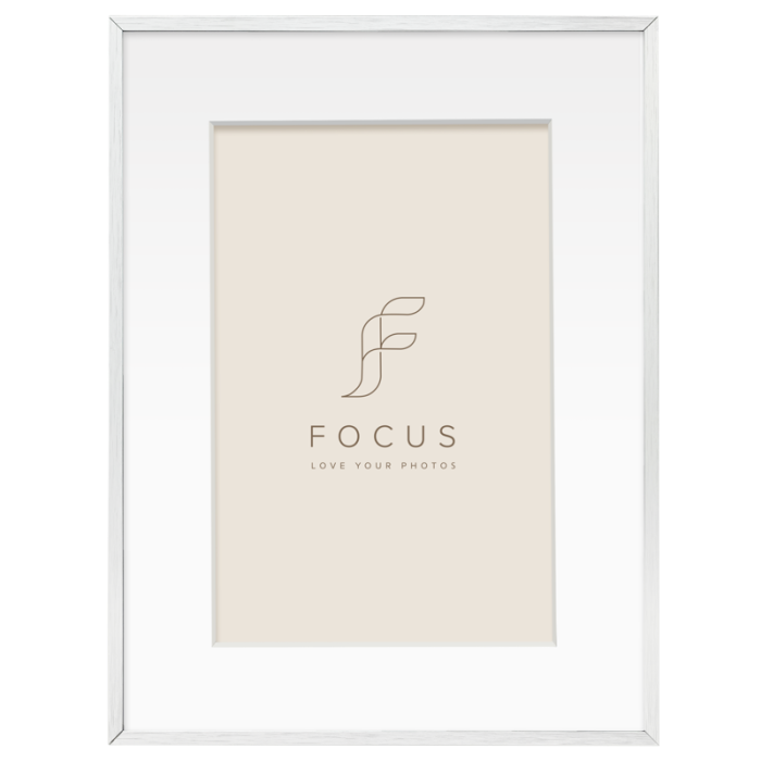 Focus Aster Silver 24x30/PP 18x24 Focus Aster Silver 24x30/PP 18x24