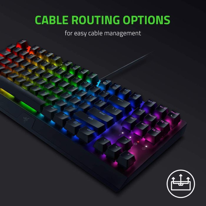 Razer BlackWidow V3 Tenkeyless Green Switches RUS (RZ03-03490700-R3R1) Razer BlackWidow V3 Tenkeyless Green Switches RUS (RZ03-03490700-R3R1)