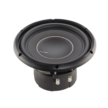 Pioneer TS-D10D4
