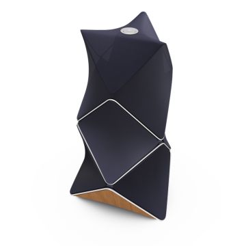 Bang&Olufsen 55 Beolab 90 Natural Parisian Night