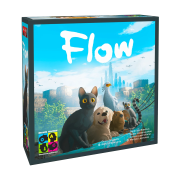 Brain Games Flow