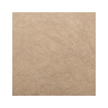 GlareOne Canvas 02 - Fabric Backdrop 3x3 m