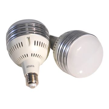 Caruba Bulb 60W (Caruba All-in-1 Light Set (Softbox / LED)) (8718485019821)