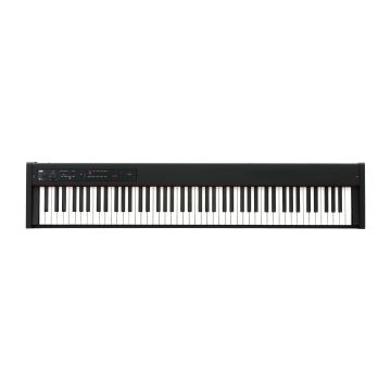 Korg D1