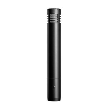 Audio-Technica AT2031 Cardioid Condenser Microphone