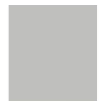 Falcon Eyes Background Cloth S010 2.9x7m Grey