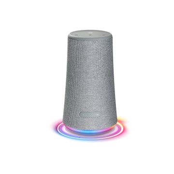 Soundcore Flare+ Grey