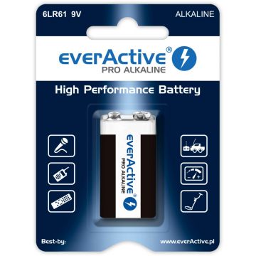 everActive 6LR61