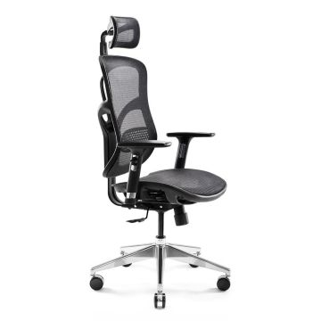 DIABLO V-BASIC Ergonomic Chair (Black)