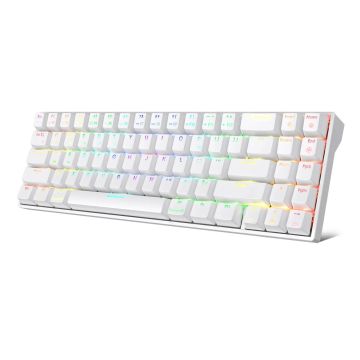Royal Kludge RK71 TKL Keyboard 70% Hot-swap Blue Switches US White
