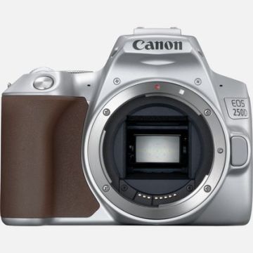 Canon EOS 250D Body Silver