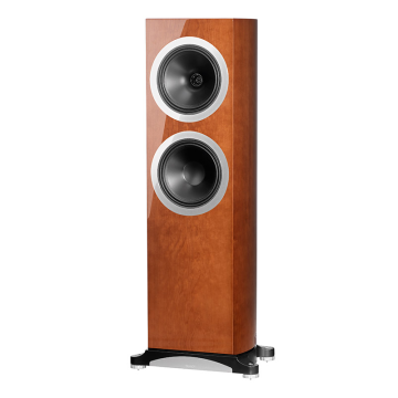 Tannoy Definition DC10 Ti High Gloss Cherry