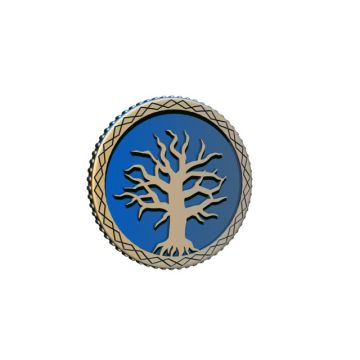 Cephalofair Games Frosthaven Challenge Coin