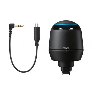 Sony RDP-CA1