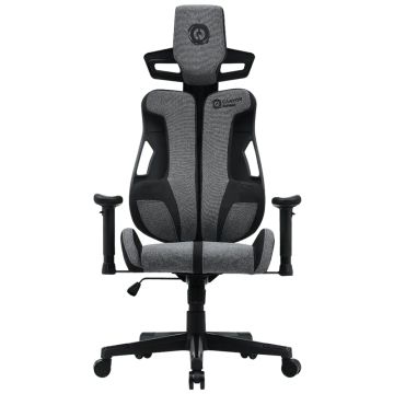 Canyon Morphos ABCH01, Grey