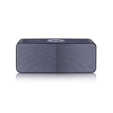 LG P5 (NA6550B)