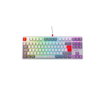 Xtrfy K4 TKL RGB Retro Compact Mechanical Gaming Keyboard (XG-K4-RGB-TKL-RETRO-R-US)