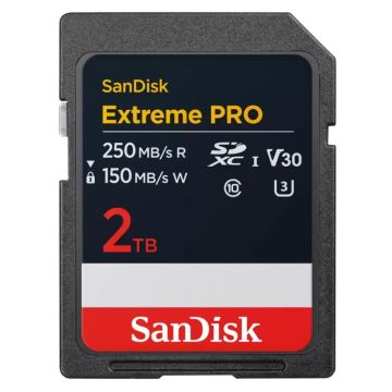SanDisk SDXC 2TB UHS-I (SDSDXXD-2T00-GN4IN)