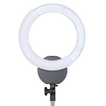 Linkstar Bi-Color LED Ring Lamp Dimmable RLE-322VC on 230V