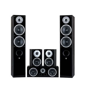 Wilson Raptor 5/Mini/Vocal (Set 5.0) Black