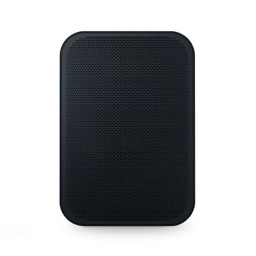 Bluesound Pulse Flex 2i Wireless Speaker