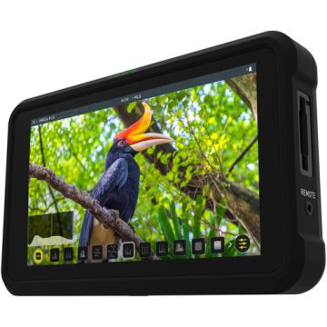 Atomos Shinobi Monitor