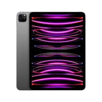 Apple iPad Pro 11 Wi-Fi + Cellular 2TB Space Grey (2022) MNYL3HC/A