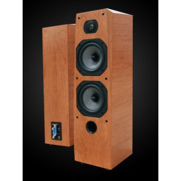 Legacy Audio Expression Cherry (Single Speaker)