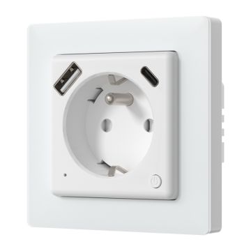 Avatto WOT20-FR Smart plug