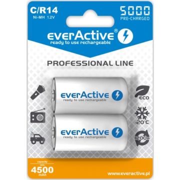everActive Ni-MH R14 C 5000 mAh Professional Line (EVHRL14-5000)