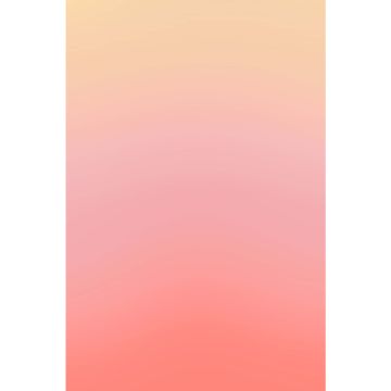 Bresser Background Cloth with Motif 80 x 120 cm - Coral Gradient