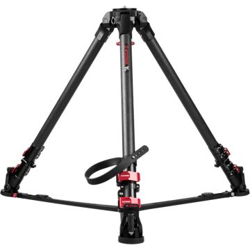 iFootage Wild Bull T7