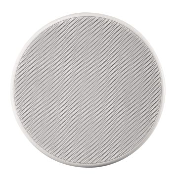 Canton In Ceiling 845