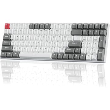 ROYAL KLUDGE RK100 White-Grey, Red Switch, US (RK100-WG-R)