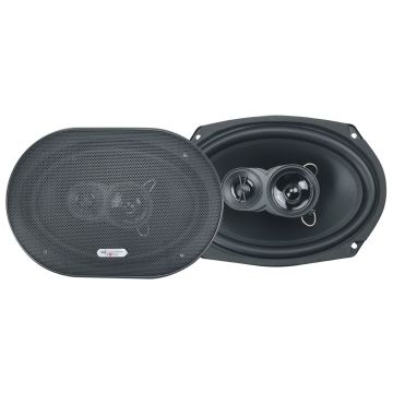 Excalibur X693 Speaker Set