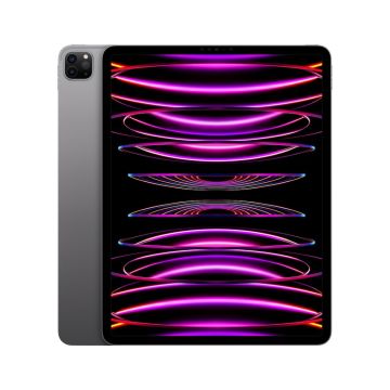 Apple 12.9-inch iPad Pro Wi-Fi - 6th generation - tablet - 128 GB - 12.9-inch IPS (2732 x 2048) - space grey (MNXP3HC/A)