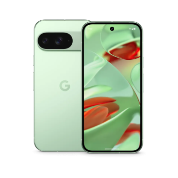 Google Pixel 9 5G Dual Sim 12GB RAM 256GB Wintergreen