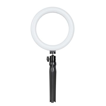 Quadralite LED Ring Light 10 inches