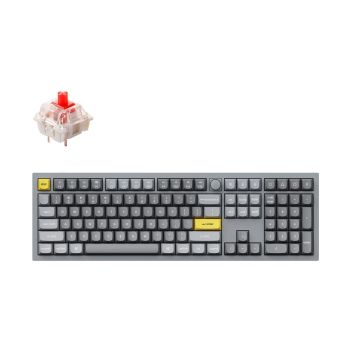 Keychron Q6 100% Silver Grey (ANSI, RGB, Hot-Swap, Gateron Pro Red Switch)