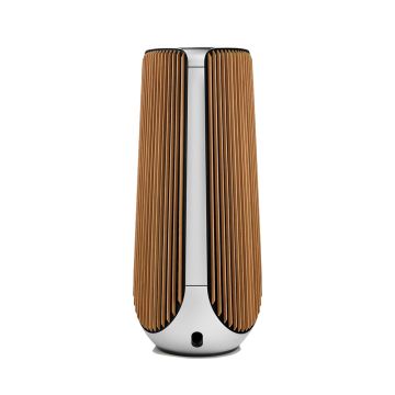 Bang&Olufsen Beolab 50 Silver