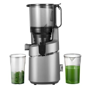 Amzchef Slow Speed Juicer Grey (SJ-036-GA)