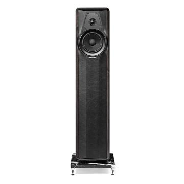 Sonus Faber MAXIMA AMATOR Graphite (Single Speaker)