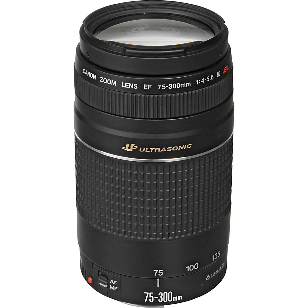 Canon Ef 75 300mm F 4 5 6 Iii Usm Lenses And Accessories Photo And Video Equipment Online Shop Bm Lv
