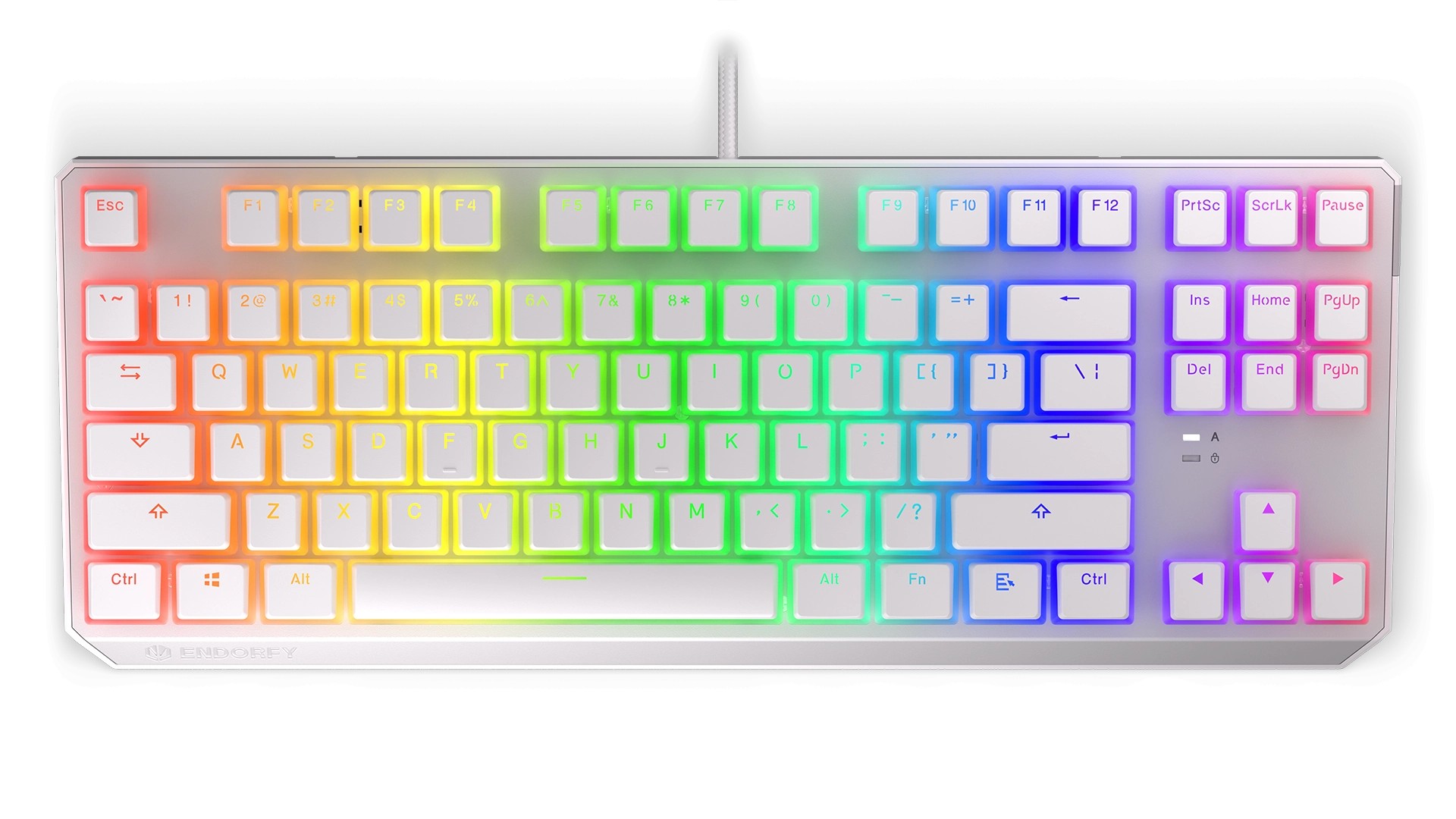 Endorfy Thock TKL mechanical keyboard with RGB Pudding Edition (US ...